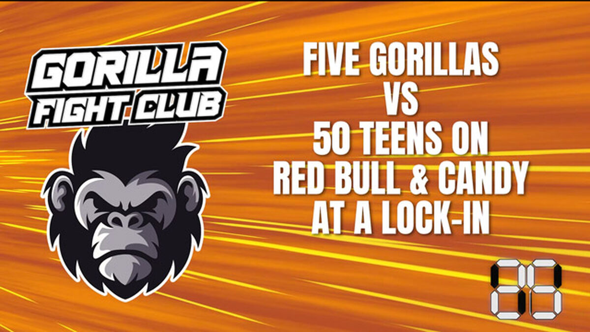 Gorilla Fight Club image number null